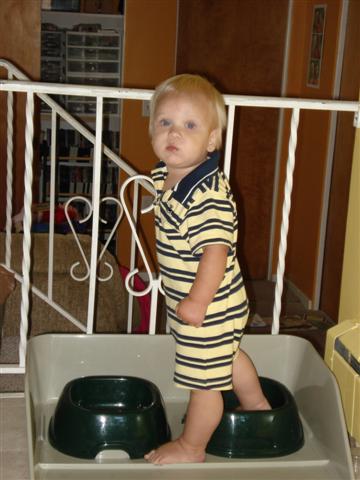 [DSC00255+(Small).JPG]