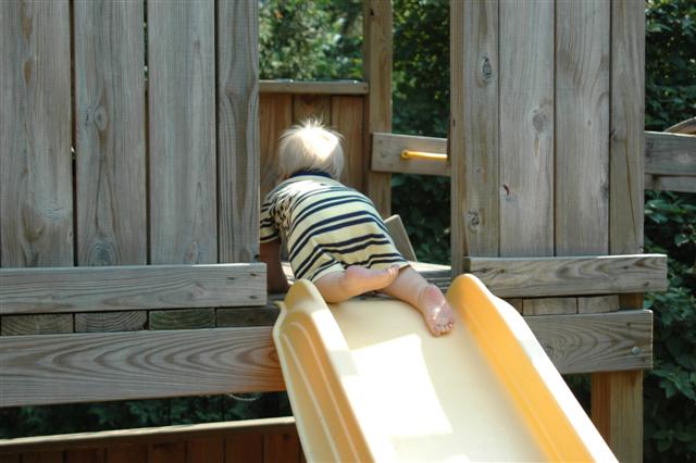 [DSC_0126+(Small).JPG]