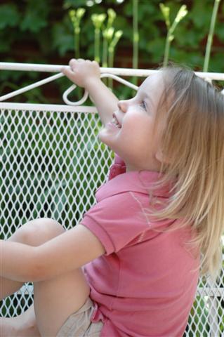 [DSC_0038+(Small).JPG]