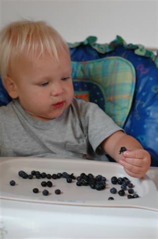 [DSC_0005+(Small).JPG]