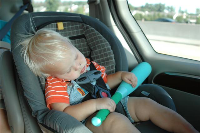 [DSC_0167+(Small).JPG]