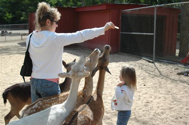 [DSC_0121+(Small).JPG]