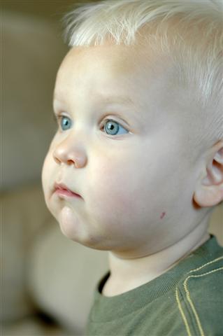 [DSC_0200+(Small).jpg]