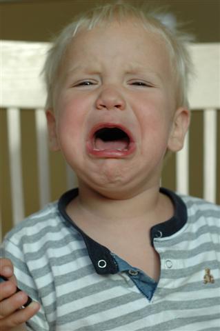 [DSC_0003+(Small).JPG]