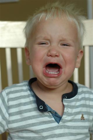 [DSC_0004+(Small).JPG]