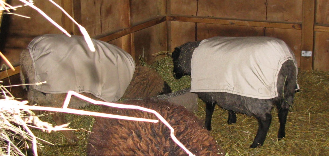 Becky Utecht Felt & Fiber Homemade Sheep Covers