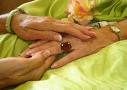 [Hospice+care.jpg]