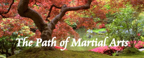The Path of Martial Arts