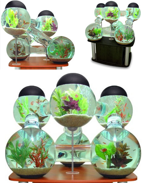 Funtrublog Awesome Aquariums  5 Cool  Modern Fish  Tank  