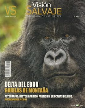 Visión Salvaje