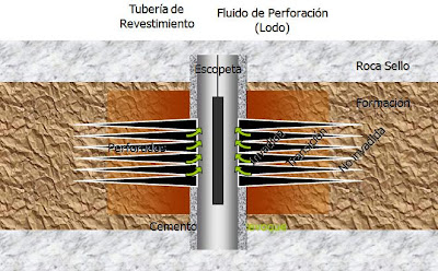 DAÑO DE FORMACION