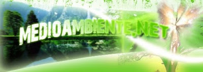 BLOG SOBRE MEDIO AMBIENTE
