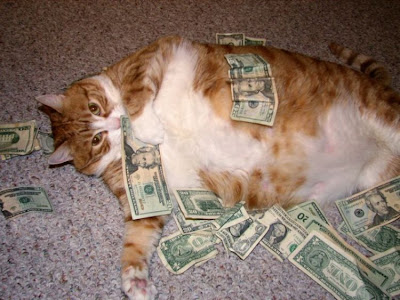 fat cat money
