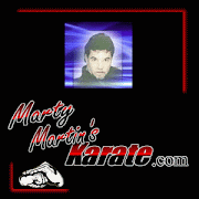 martymartinkarate.com