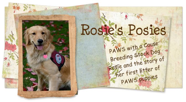 rosie's blog