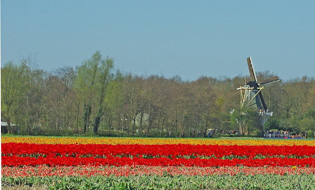 Netherlands 2010