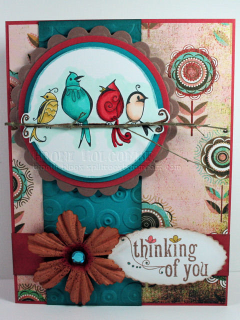 [Quartet+on+a+Branch+SCS.jpg]