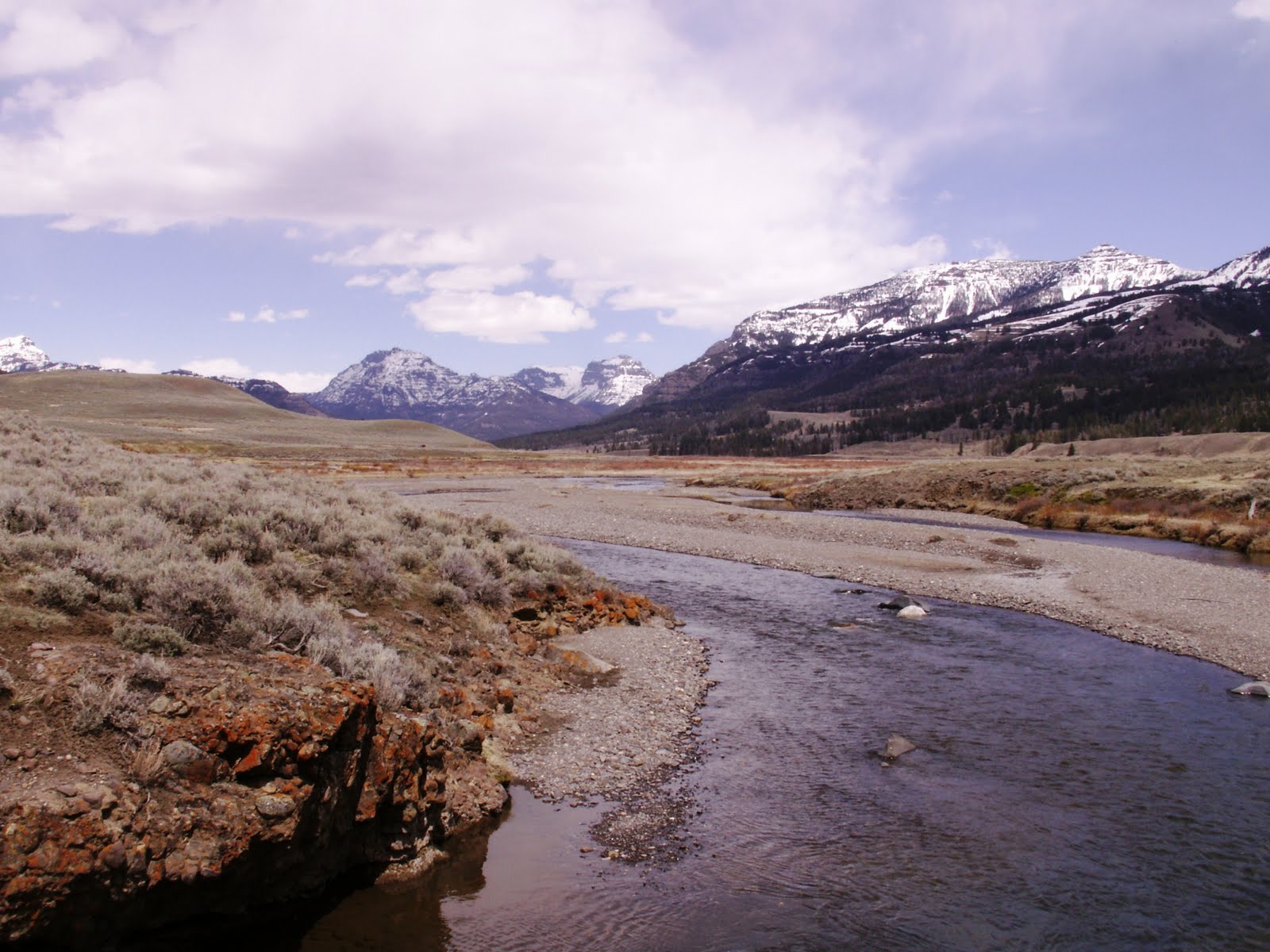 Lamar River Trail (Yellowstone National Park)