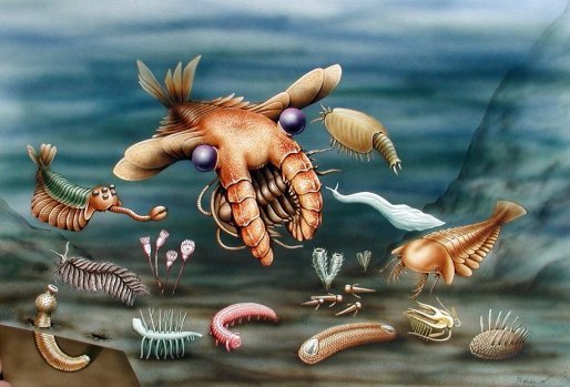 [burgess_shale.jpg]