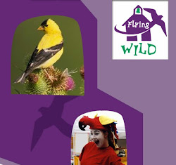 five little birds went flying one day 13