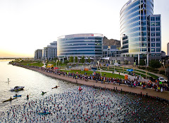 Lining Up for the Swim