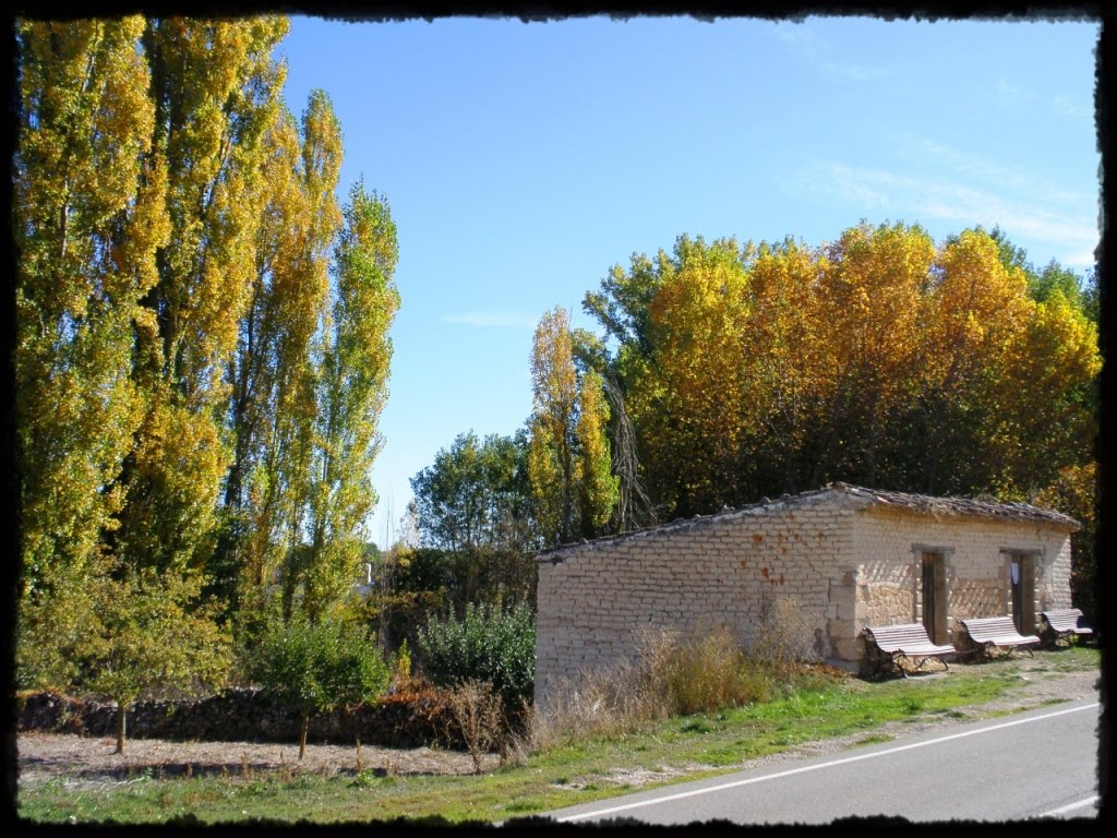 COSAS DE ESPINOSA DE CERRATO PALENCIA EL OTOÑO EN ESPINOSA DE CERRATO