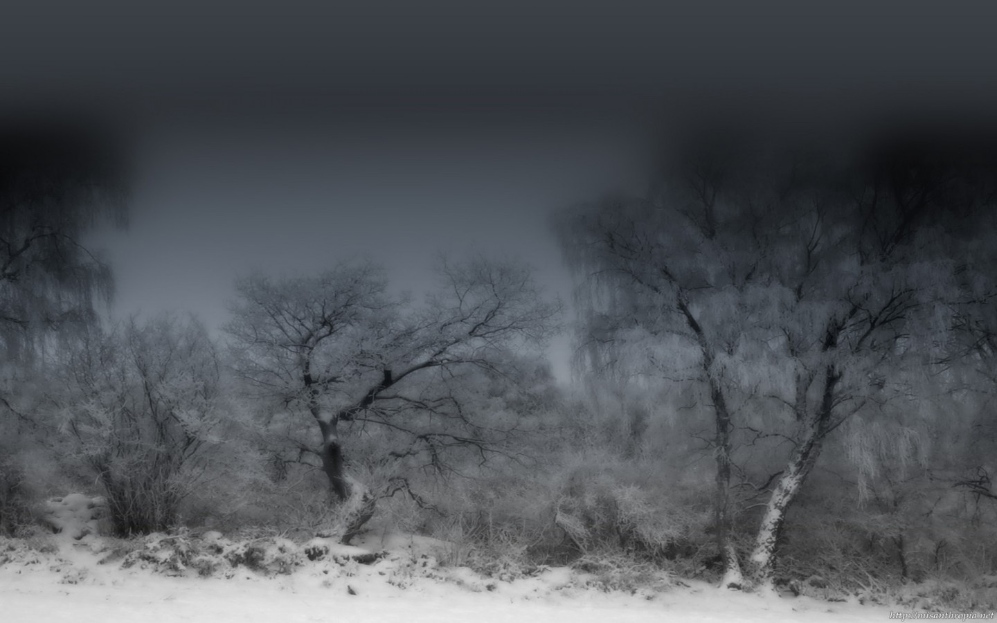 [Reign-of-Insomnia-Landscapes-Winter-1-1440x900.jpg]