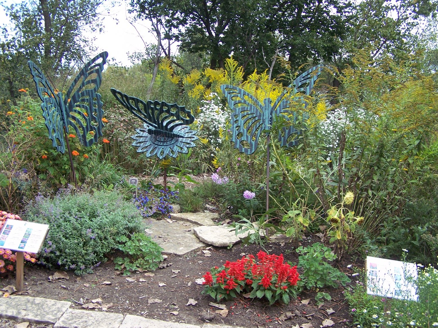 Old Glory Cottage Monarch Butterfly Festival!!