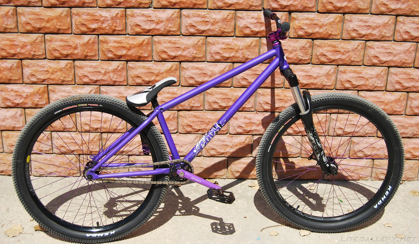dartmoor cody frame
