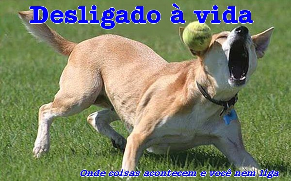 Desligado à vida.