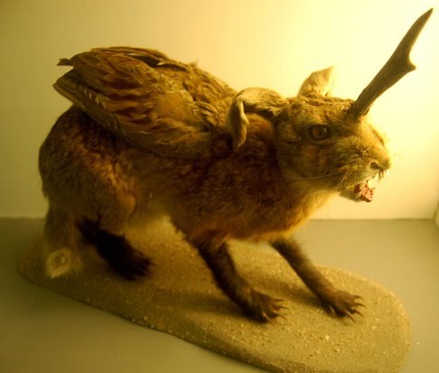 [daggerhare.jpg]