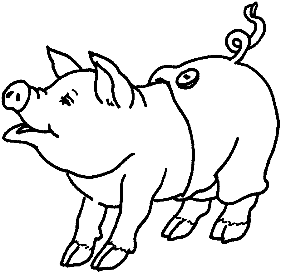 Dibujos para Pintar Colorear Lista Animales Web para niños - animales imagenes para colorear