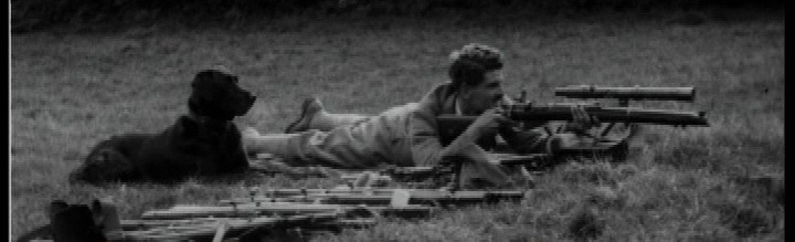 Sergeant D R Fulpont Queens Westminster Rifles: The Fulton family and volunteer rifle ...
