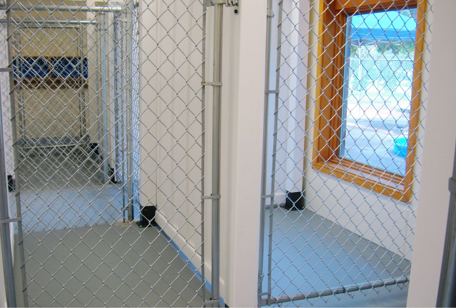 4 Paws Petcare and Kennel