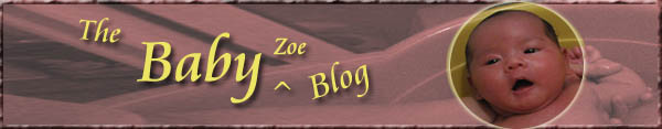 The Baby Blog