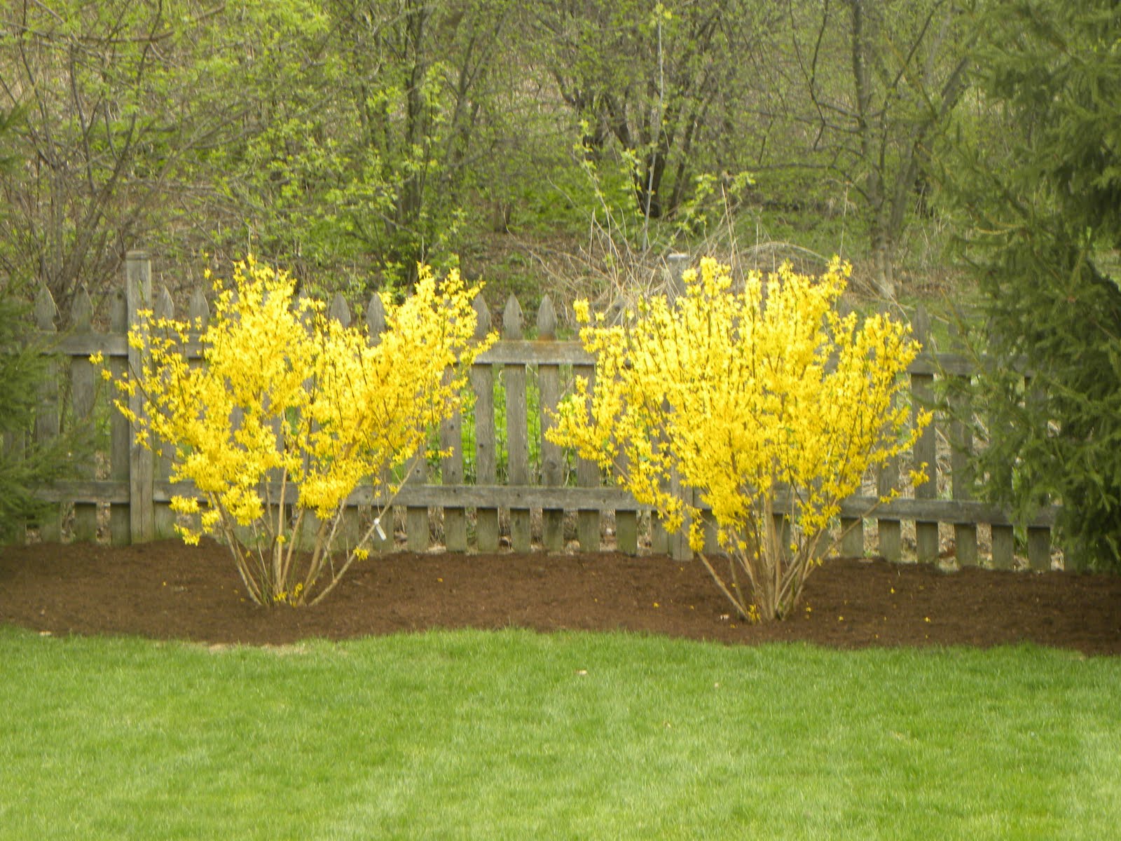 TRES BELLE BOUTIQUE: Isn't Spring Beautiful!