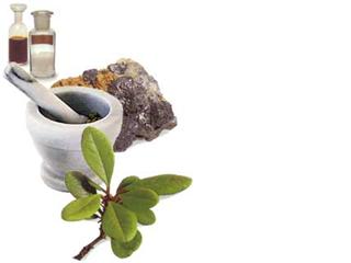 [Homeopatia_floraionline.jpg]