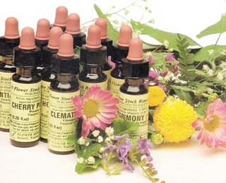 [FLORAIS+DE+BACH.jpg]