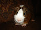 My photo