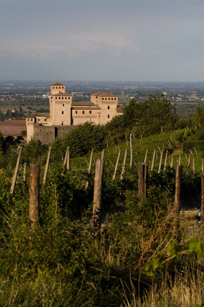 [torrechiara_lisa_web-7142.jpg]