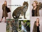 Ocelot fur on ebay- HELP SAVE THEM!!!