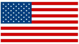 Cause it's America, jackass