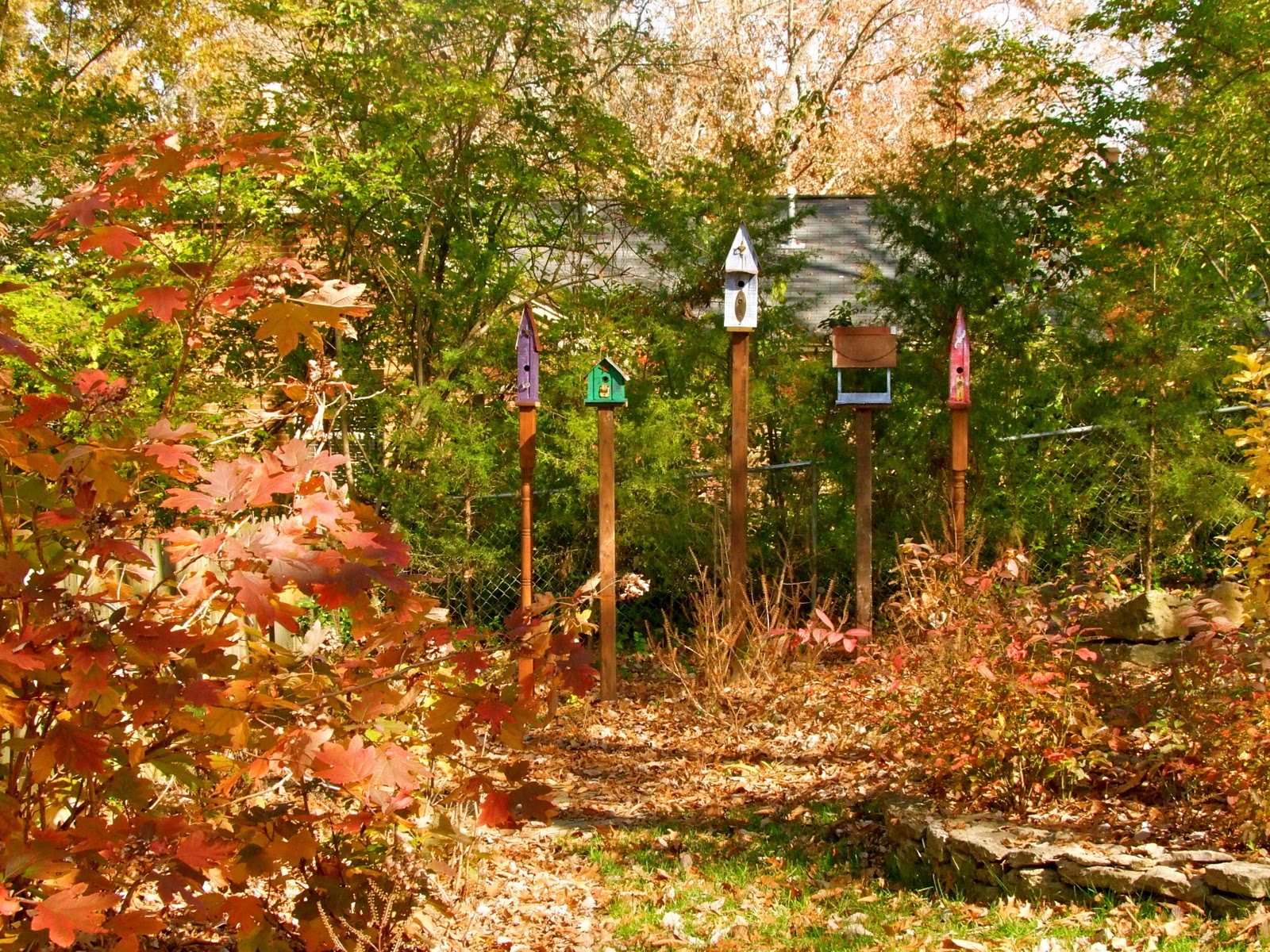 Garden Muses Not Another Toronto Gardening Blog 01 08 11 01 09 11