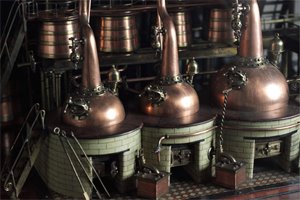 [jim+destillary+2.jpg]