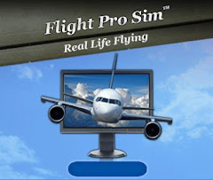 PC Flight Simulators