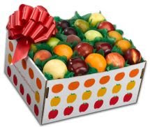 The Fruit Orchard