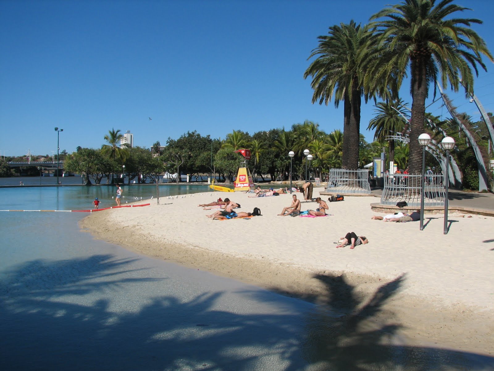 Ray's Retirement The Brisbane River walk and a bunch of bridges