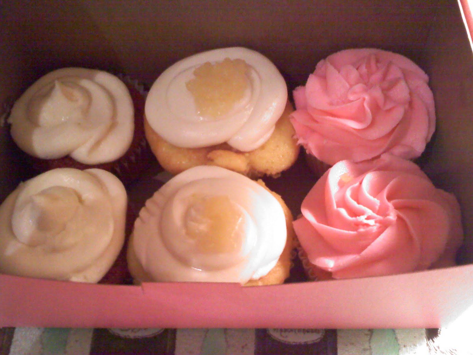 Just Food Snobs A Food Blog Cupcakes To Go!