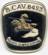 CCS DO BATALHÃO DE CAVALARIA 8423