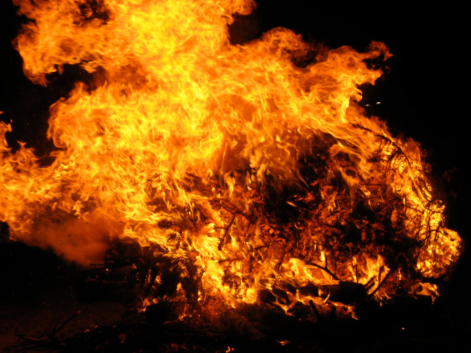 the kennedys annual tree burning.